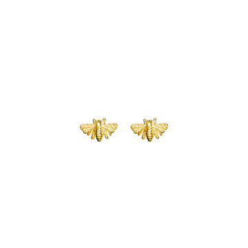 Gold Bee Stud