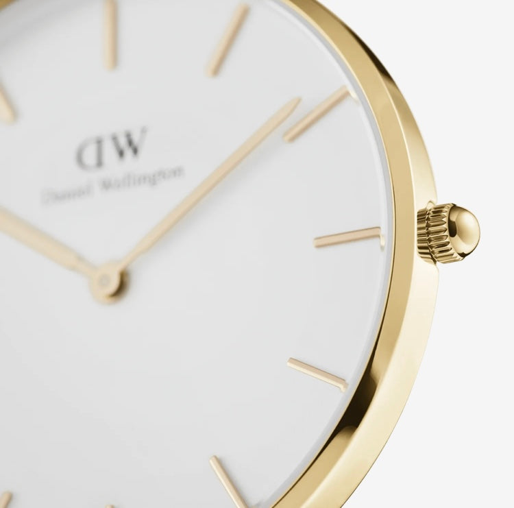 Daniel Wellington Petite Evergold Watch Mesh