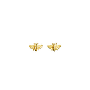 Gold Bee Stud