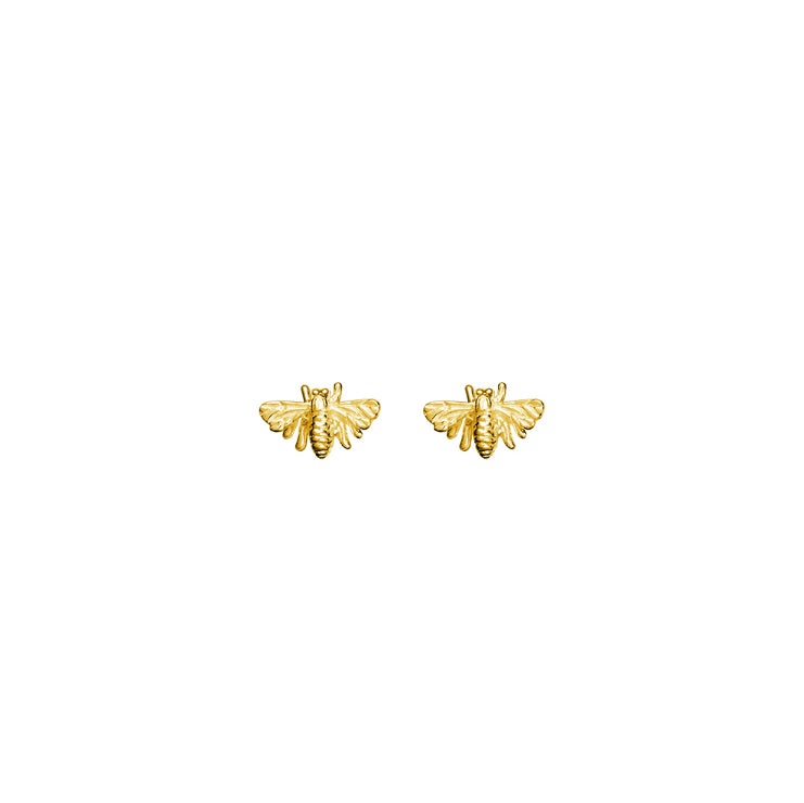 Gold Bee Stud